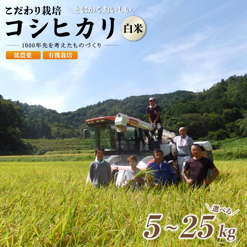 【ふるさと納税】 有機栽培 コシヒカリ 白米 5kg 10kg 15kg 20kg 25kg 米 お米 精米 京都府産 農家直送 減農薬 有機栽培米 綾部市｜京都府綾部市