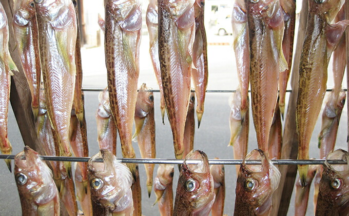 2箱 一夜干し その他水産物 京都府宮津市 ハタハタ 特大 干物 ふるさと納税 450g 京都府宮津市 ハタハタ 魚貝類 干物 2箱 一夜干し その他水産物 京都府宮津市 ハタハタ 特大 干物 ふるさと納税 450g 京都府宮津市 ハタハタ 魚貝類 干物