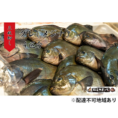 ご好評につきsale 楽天市場 ふるさと納税 グレ メジナ 生 3枚卸し 2匹分 魚介類 グレ メジナ 3枚卸し 煮付け ムニエル フライ 冷凍 京都府宮津市 即納 送料無料 Urjalaworks Com