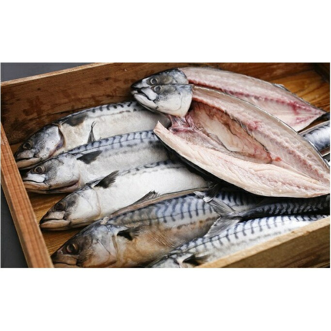 【ふるさと納税】橋立やまいち旨みたっぷりふっくら自慢の塩サバ 魚貝類 加工食品 鯖 さば 冷凍 冷蔵