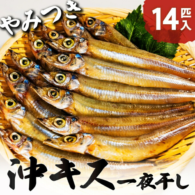 【ふるさと納税】ふっくら柔らかい沖キスの一夜干し 14匹入 日本海 沖キス キス 一夜干し 干物 魚 ひもの おつまみ 日本酒 肴 珍味 ご飯のお供