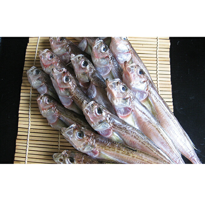 【ふるさと納税】ハタハタ（特大）干物 一夜干し 450g ×1箱 魚貝類