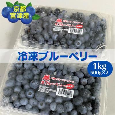 【ふるさと納税】京都 天橋立産 冷凍 ブルーベリー 1kg（500g×2パック）（生食用）　 果物 果実 フルーツ 冷凍フルーツ 冷凍果物 国産 大粒 そのまま ヨーグルト アイス トッピング ケーキ ジャム スムージー 便利 アレンジ