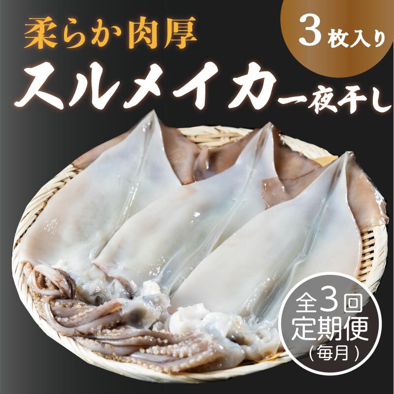 【ふるさと納税】【毎月_定期便 全3回】日本海産柔らか肉厚のスルメイカ一夜干し(大)3枚 全3回　 魚貝類 イカ いか スルメイカ お酒 つまみ 特大 新鮮 保存 冷凍 国産 酒の肴 酒のつまみ