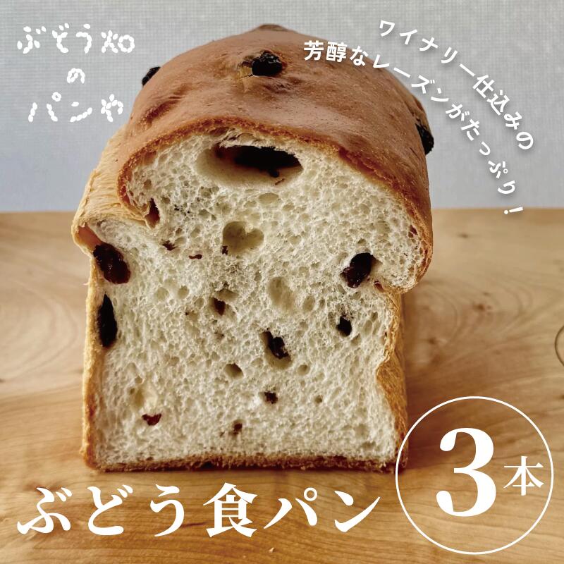 【ふるさと納税】ぶどう食パン 3本 myz06 myz08 myz11 myz19 myz24|京都府宮津市