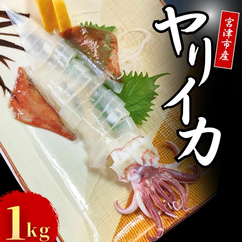 【ふるさと納税】京都宮津産 新鮮ヤリイカ 刺身用 冷凍 約1kg │ 日本海 鮮度 いか 刺し おつまみ いか刺身 烏賊 刺身 父の日 ギフト 天橋立