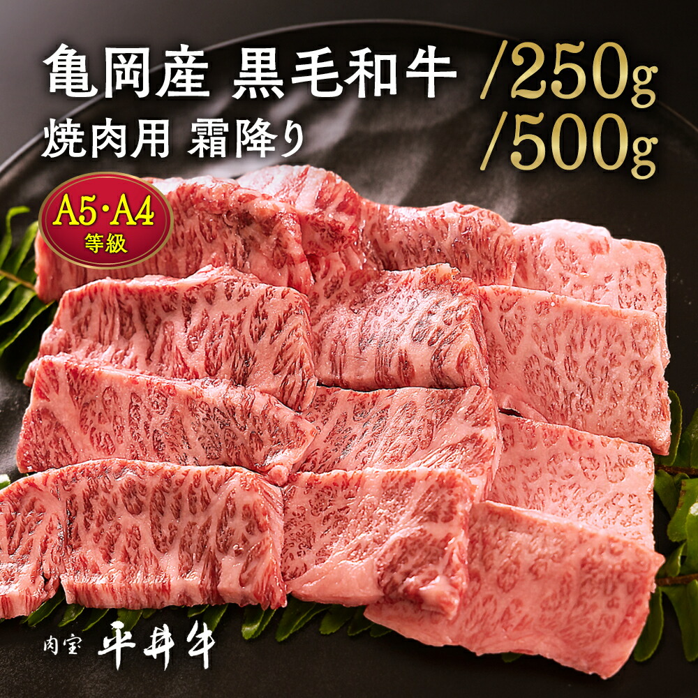 【7営業日以内発送】＼選べる内容量／牛肉 最高級黒毛和牛『平井牛』A5・A4 焼肉用 霜降り 250g/500g 希少 和牛 京都肉 京都産 亀岡産 冷凍 真空パック 送料無料 70th