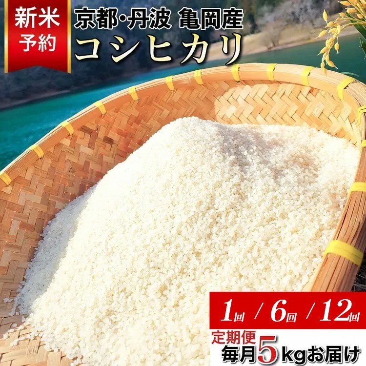 【ふるさと納税】【期間限定 生活応援】【令和8年産 先行予約】高評価★4.69 コシヒカリ 米 定期便 5kg 6回 12回京都 佐伯の里 源流米 希少 京都丹波産 産地直送｜ふるさと納税 訳あり 簡易包装 ふるさと納税 米 定期便 12ヶ月 人気 白米