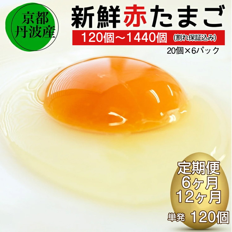 【ふるさと納税】】＼選べる1回・定期便／ 新鮮 卵 京都・丹波の赤たまご 100個(20個×5パック)+割れ保証20個6ヶ月・12ヶ月 生卵 たまご 鶏卵 小分け 贈答 ギフト 直送 冷蔵 朝食 料理 人気<br>※北海道・沖縄・離島への配送不可