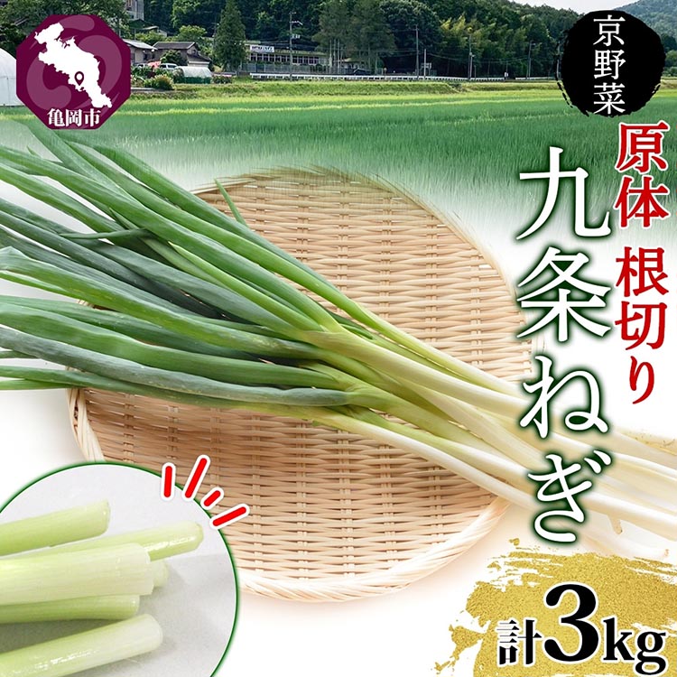 【ふるさと納税】九条ねぎ 原体 根切り 3kg 京のおねぎはん ｜ 京野菜 京都府産 葱 ネギ ラーメン うどん 味噌汁 お鍋 ねぎ焼き 薬味 業務用 常備菜 産地直送 お取り寄せ 熨斗 のし 対応（名入れ不可）送料無料 西陣屋 京都府 亀岡市 ※北海道・沖縄・離島への配送不可