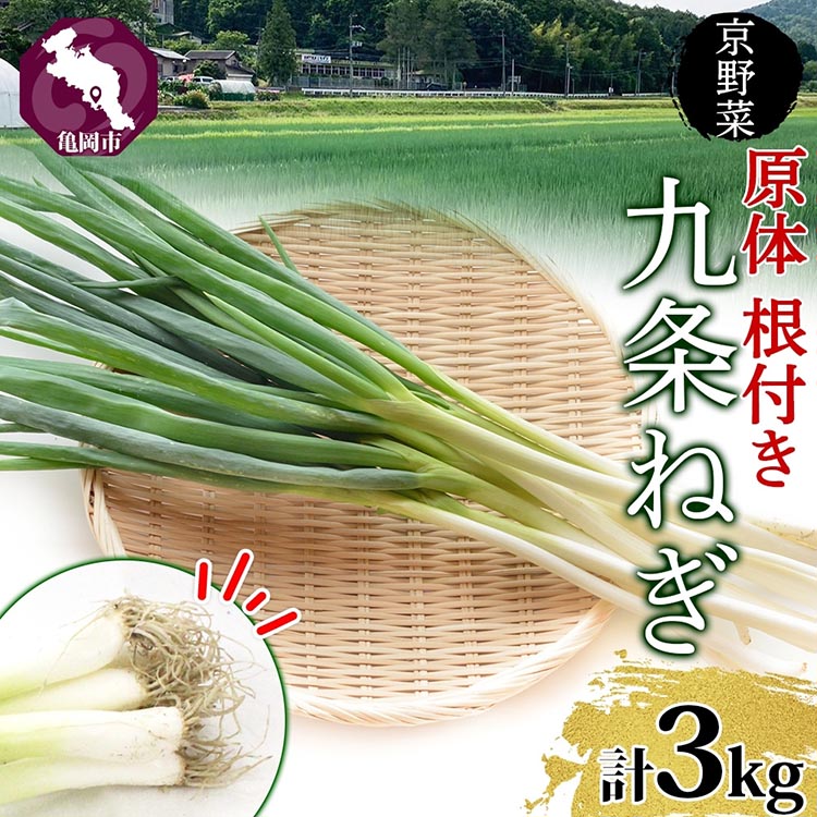 【ふるさと納税】九条ねぎ 原体 根付き 3kg 京のおねぎはん ｜ 京野菜 京都府産 葱 ネギ ラーメン うどん 味噌汁 お鍋 ねぎ焼き 薬味 業務用 常備菜 産地直送 お取り寄せ 熨斗 のし 対応（名入れ不可）送料無料 西陣屋 京都府 亀岡市 ※北海道・沖縄・離島への配送不可