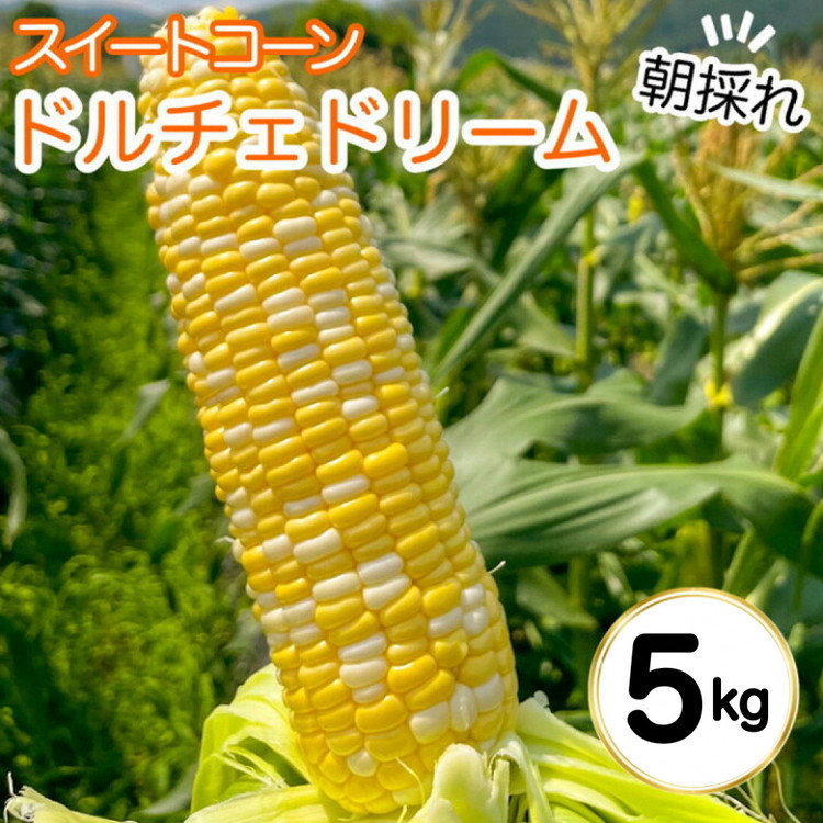 【ふるさと納税】【先行予約】朝採れ とうもろこし 5kg スイートコーン ドルチェドリーム 甘い 早朝収穫〈アグリにのうみ〉京都 亀岡 農家直送 2025年産 ※北海道・沖縄・離島への配送不可 ※2025年7月上旬～7月下旬頃順次発送予定