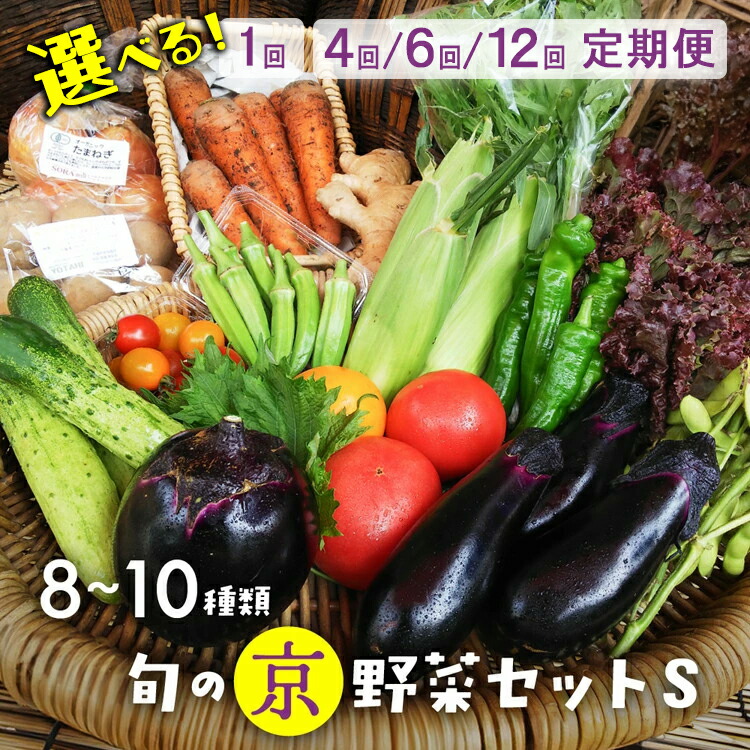 【ふるさと納税】旬の京野菜セットS＜アスカ有機農園＞＊毎月お届け 定期便 4回 6回 12回≪定期 野菜 京野菜 野菜セット 詰め合わせ ふるさと納税 野菜 無農薬 有機 有機栽培 有機野菜 旬 直送 冷蔵 亀岡市 京丹後市 送料無料≫発送時期が選べる