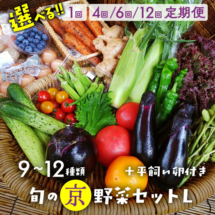 【ふるさと納税】旬の京野菜セットL（平飼い卵付）＜アスカ有機農園＞＊毎月お届け 定期便 4回 6回 12回≪ 定期 野菜 京都 京野菜 たまご 卵 野菜セット 詰め合わせ 無農薬 有機 有機栽培 有機野菜 直送 冷蔵 亀岡市 ふるさと納税 野菜≫発送時期が選べる