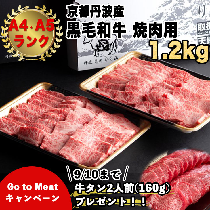 亀岡牛こま切れ500g 亀岡牛ミンチ500g≪京都府産 丹波 黒毛和牛 月間MVPふるさと納税賞 送料無料≫ すき焼き 第1号 牛肉 2020年10月  ふるさと納税牛肉 冷凍 肉じゃが SDGs未来都市亀岡