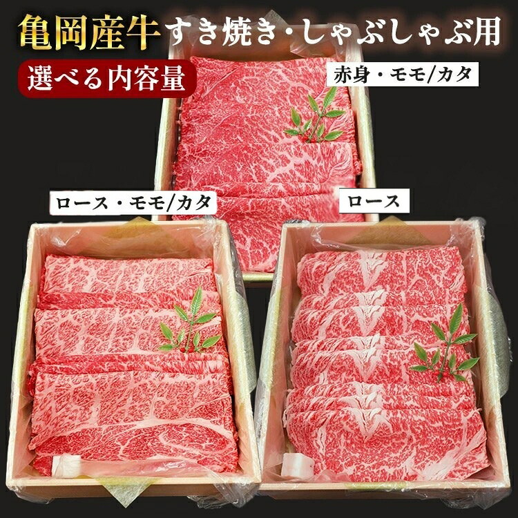 【ふるさと納税】【銀閣寺大西】厳選 牛肉 京都・亀岡産 黒毛和牛 すき焼き しゃぶしゃぶ【選べる】赤身 ロース 500g 1kg スライス 急速冷凍｜京都 老舗 京都府産 人気 おすすめ グルメ 国産牛 送料無料 ふるさと納税 すき焼き ふるさと納税 牛肉 ふるさと納税 和牛