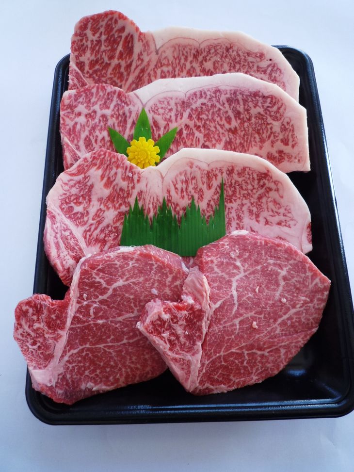 【ふるさと納税】＜ひら山＞厳選 京都府産黒毛和牛（亀岡牛･京の肉･京都肉･丹波産）和牛ヒレステーキ・サーロインステーキセット (ヒレ100gx２枚、サーロイン200gx３枚）