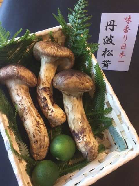 フレッシュ松茸・極品 楽天市場】【ふるさと納税】極み 丹波松茸 詰め合わせ ＜京都