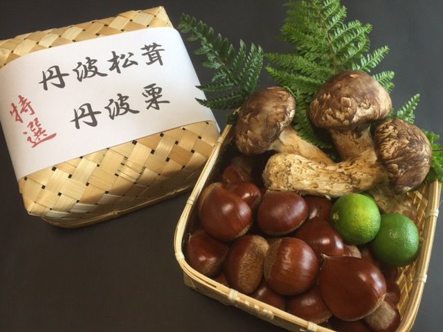 【ふるさと納税】[先行予約]期間・数量限定 極上 丹波松茸 丹波栗 詰め合わせ＜京都・八光館＞ ※2026年10月～発送｜京都府亀岡市