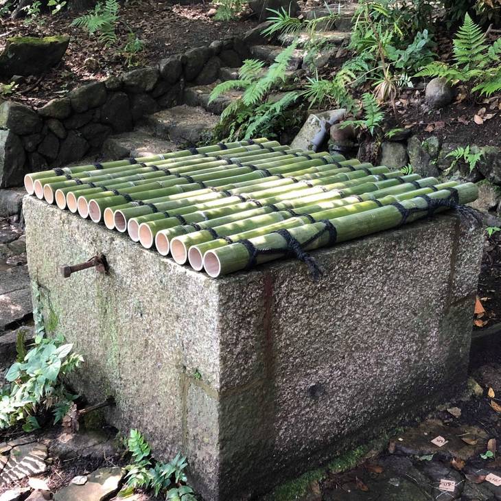 楽天市場】竹井戸蓋（ふた）国産天然（青竹）丸竹直径30mm/900mm×900mm