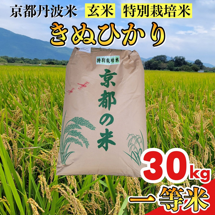【ふるさと納税】【期間限定 生活応援】【令和7年産】京都丹波米 きぬひかり 玄米 30kg《米 一等米 キヌヒカリ 特別栽培米 減農薬》※北海道・沖縄・離島への配送不可
