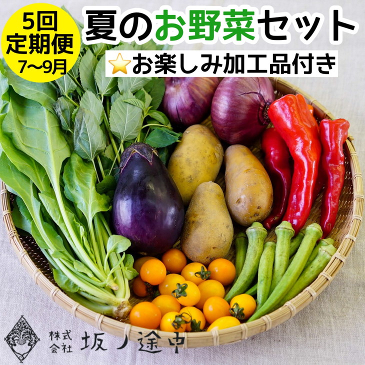 旬の京野菜 詰め合わせセット《京都 丹波 コロナ対策 訳あり》※沖縄 離島 諸島へのお届け不可☆月間MVPふるさと納税賞 第1号 2020年10月  SDGs未来都市亀岡 全品送料0円