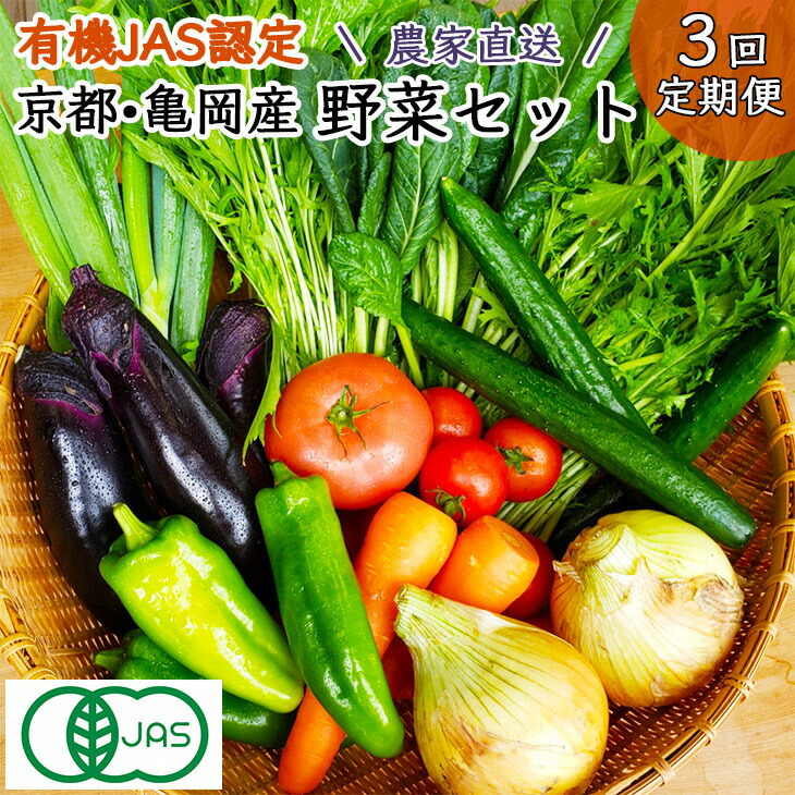 ３６９商店 京都丹波産旬の野菜セット※全て栽培期間中農薬 化学肥料不使用 クラウドファンディング対象