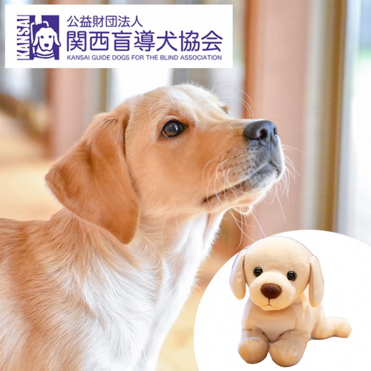 【ふるさと納税】盲導犬 訓練 支援寄附 記念品［ラブラドールぬいぐるみ・タオル・エコバッグ など盲導犬協会オリジナルグッズ］「行きたい場所に安心していける社会に&hellip;」補助犬 (50,000円)｜京都府亀岡市