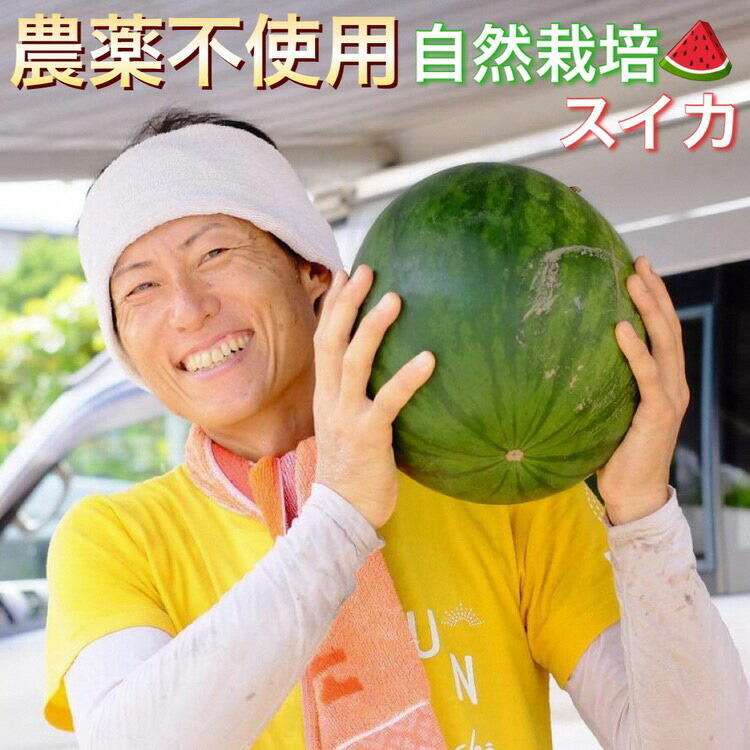 【ふるさと納税】【2025年産 予約】すいか 1玉 京都府・亀岡産 自然栽培のかたもとオーガニックファームよりお届け ※2025年8月頃より順次発送予定 ※離島への発送不可 ☆月間MVPふるさと納税賞 第1号（2020年10月）・SDGs未来都市亀岡