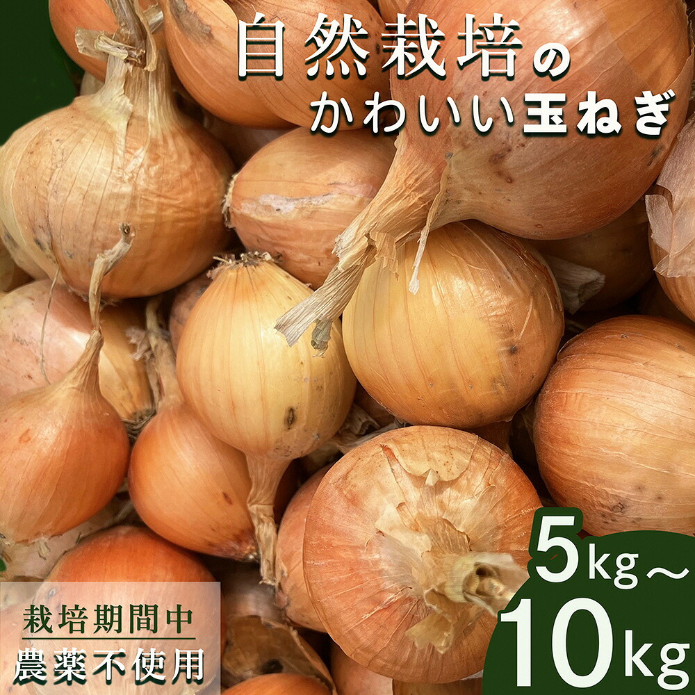 【ふるさと納税】＼選べる内容量／ たまねぎ 5kg 10kg 自然栽培のかわいい玉ねぎ（小たまねぎ）京都府・亀岡産 かたもとオーガニックファームよりお届け ｜ 訳あり 玉葱 タマネギ 小さめ サイズ小｜京都府亀岡市