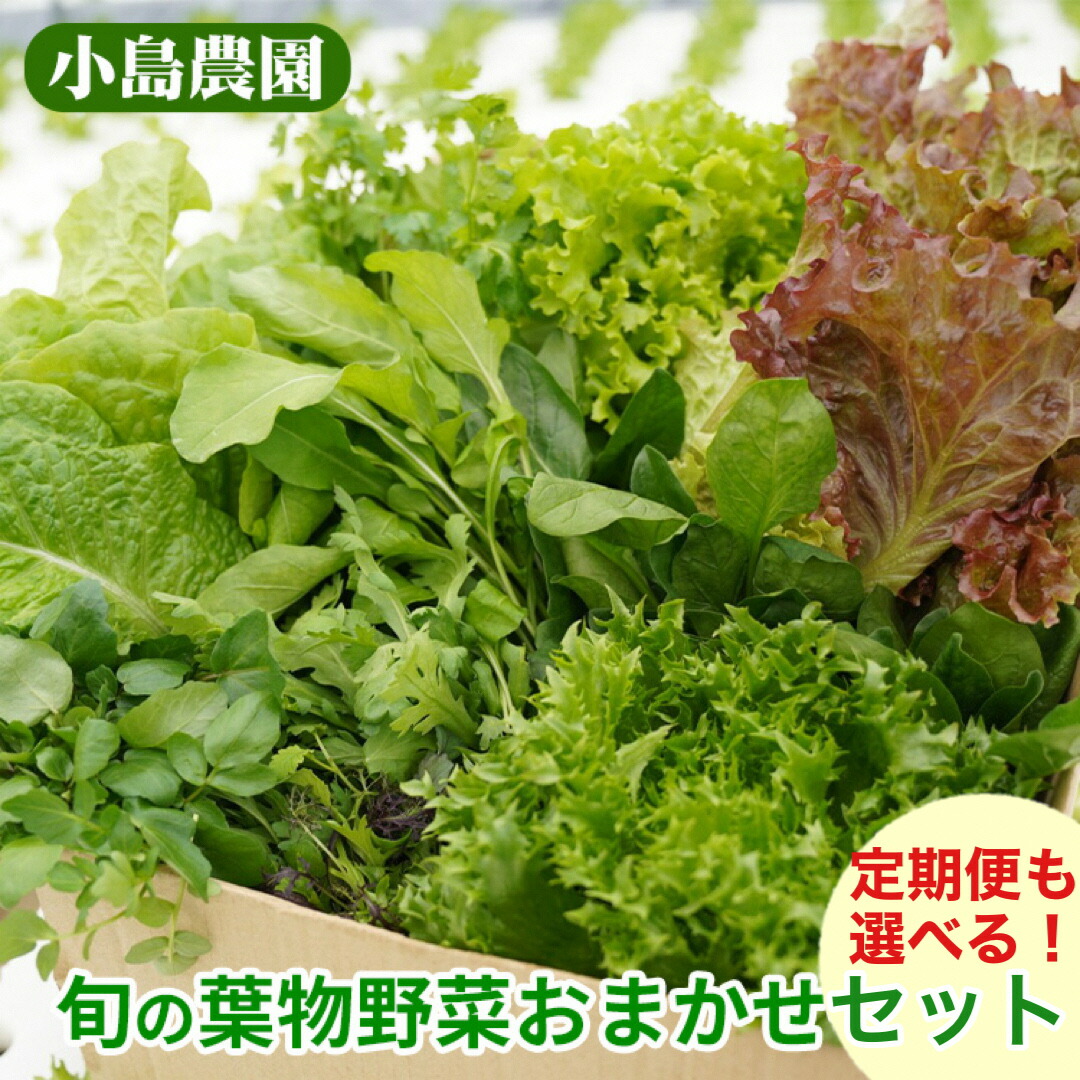 楽天市場】【ふるさと納税】野菜 詰め合わせ リーフレタス サラダ 7種