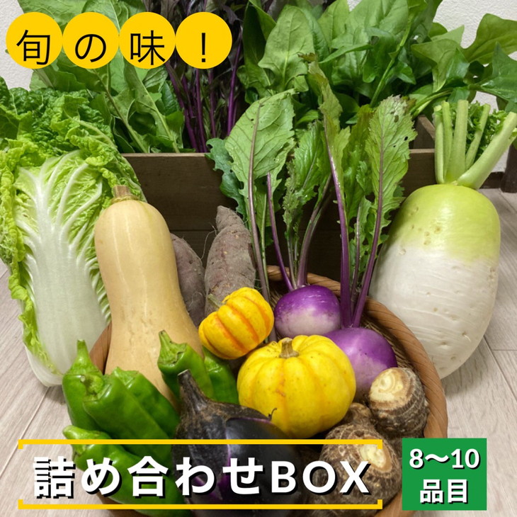 【ふるさと納税】旬の味！お野菜 詰め合わせ BOX 8～10品目（栽培期間中 農薬・化学肥料不使用）<br>【めぐる農園】京都 亀岡 京野菜 農家より直送