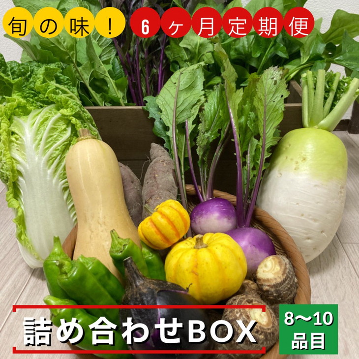 【ふるさと納税】【6回定期便】旬の味！お野菜 詰め合わせBOX 8～10品目×6回（栽培期間中 農薬・化学肥料不使用）<br>【めぐる農園】京都 亀岡 京野菜 農家より直送