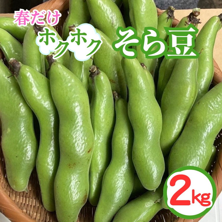 【ふるさと納税】＜先行予約＞春だけ ホクホクそら豆！2kg 京都 亀岡産 野菜 豆類 旬 おつまみ 取り寄せ 人気 ※北海道・沖縄・離島への配送不可 ※2026年5月中旬～6月中旬頃に順次発送