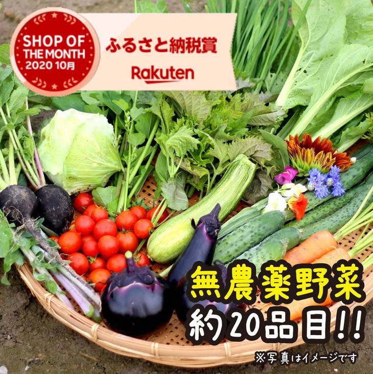 楽天ランキング1位 12回定期便 京都府 亀岡産 無農薬 自然栽培で育てた体も心も喜ぶ かたもとオーガニックファームの季節のお野菜セット 毎回10 品目 離島への発送不可 亀岡市 楽天ショップ オブ ザ マンス年10月ふるさと納税賞受賞 Rakuten Thiqa