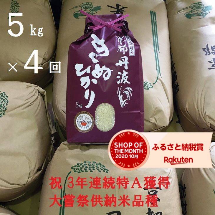 キヌヒカリ 白米 4回 京都丹波 令和3年産 亀岡 3年連続 米 4回定期便 9月中旬以降 5kg ふるさと納税 特ａ 定期便 3年連続最高ランク 特a 京都丹波米 きぬひかり 定期便 kg 5kg 4回 北海道 沖縄 離島への配送不可 新米 9月中旬以降 令和3年産 亀岡市