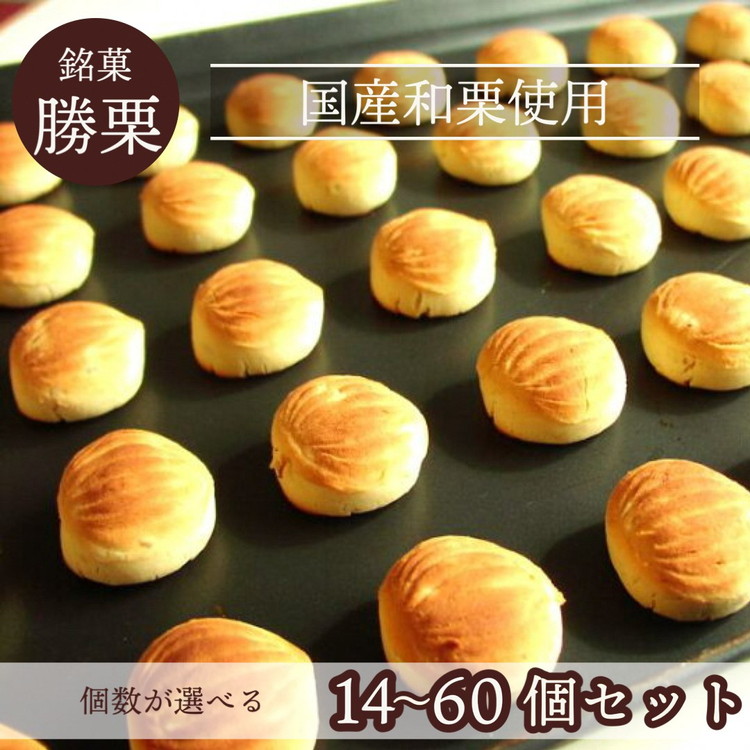 京都の縁起菓子「勝栗」14個セット～60個セット ｜ スイーツ 和菓子 焼菓子 必勝祈願 白あん 和栗 ギフト 贈答 お中元 お歳暮 父の日 母の日 敬老の日 プレゼント ☆月間MVPふるさと納税賞 第1号（2020年10月）・SDGs未来都市亀岡 70th