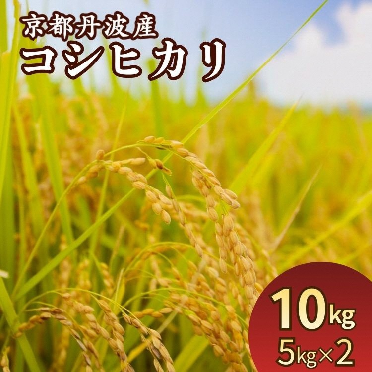 【ふるさと納税】令和7年産 米 京都丹波産コシヒカリ 10kg(5kg×2袋) 発送時期が選べる<JA京都たわわ朝霧>≪農協 白米 精米 産地直送 送料無料 簡易包装 生活応援 人気 国産 こしひかり≫