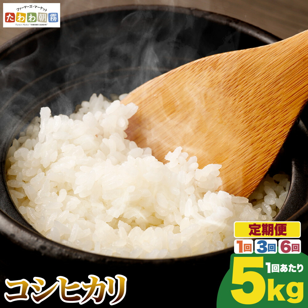【ふるさと納税】【期間限定 生活応援】米 定期便 5kg コシヒカリ 1回 3回 6回 定期便 京都丹波産 JA京都たわわ朝霧 産地直送 令和7年産 ふるさと納税 米 定期便 京都丹波米 白米 精米 農協 送料無料 簡易包装 人気 お米 こしひかり 米 5キロ 6ヵ月 25,920円