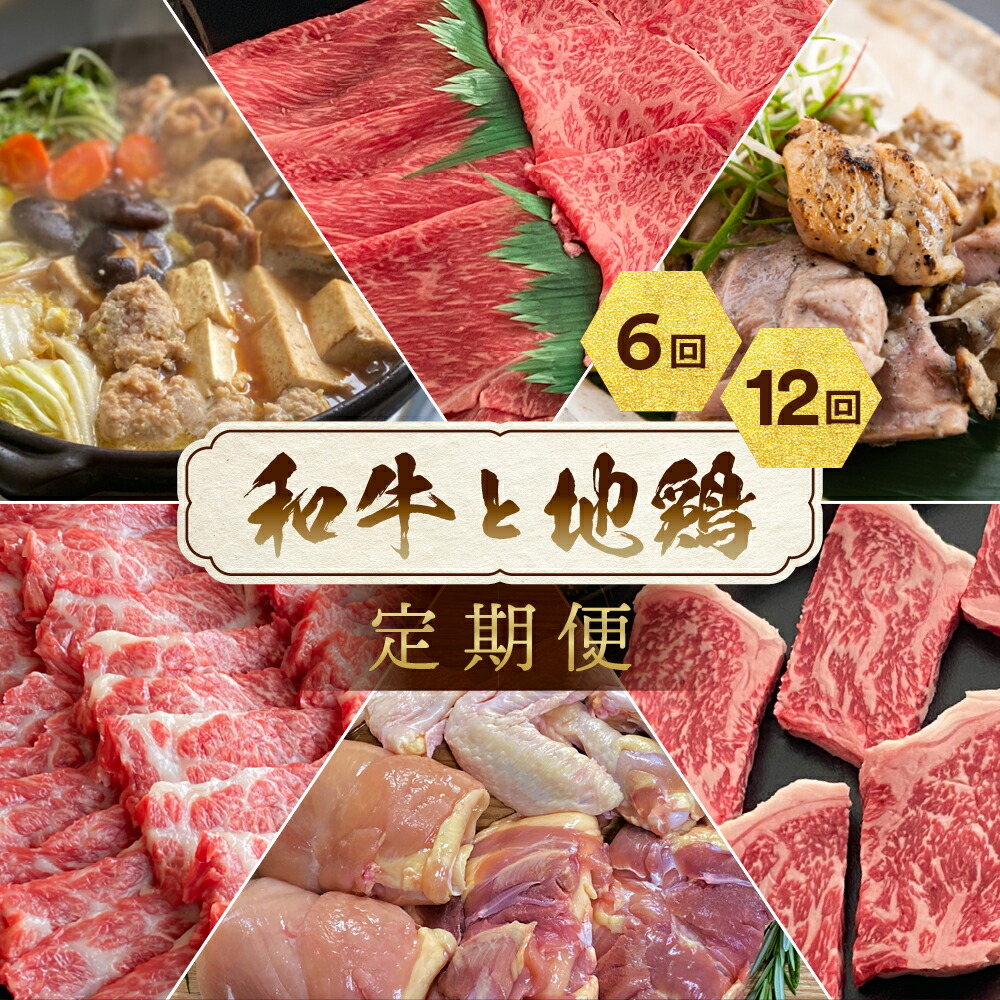 【12月末まで】和牛と地鶏 定期便 6回/12回＜京都亀岡丹波山本×ひら山＞京の肉＆地鶏丹波黒どり・丹波赤どり 冷凍 お楽しみセット≪訳あり 不揃い ふるさと納税 定期便 肉 12ヶ月 6ヶ月 1年間 半年 6回または12回定期便≫ TCP