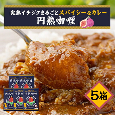 【ふるさと納税】京都府城陽産　イチジクが丸ごと入った　スパイシーなカレー　5箱&times;1セット【1136496】｜京都府城陽市