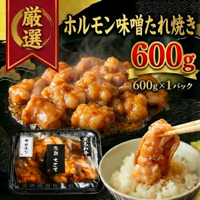 【ふるさと納税】ホルモン味噌たれ焼き 焼肉用 600g(600g×1P)【配送不可地域:離島】【1481709】|京都府城陽市