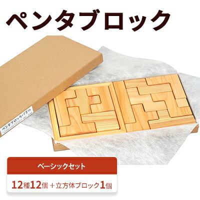 【ふるさと納税】ペンタブロック　ベーシックセット パズル ゲーム 安全 創造性 逸級品