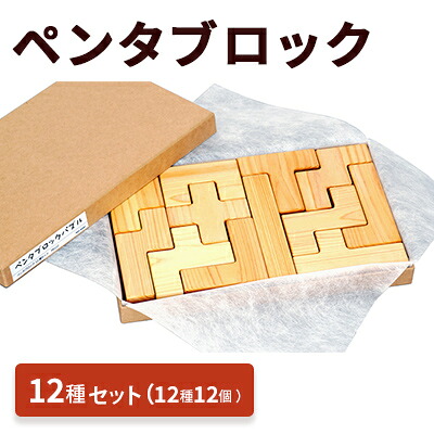 【ふるさと納税】ペンタブロック　12種セット パズル ゲーム 安全 創造性 逸級品