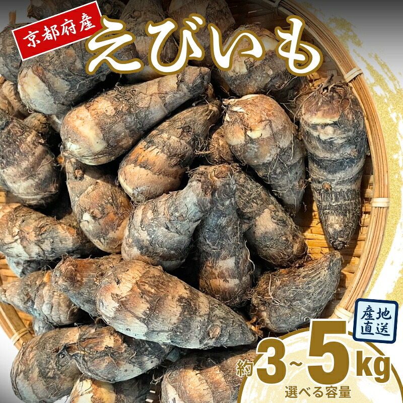 【ふるさと納税】えびいも【選べる容量】3kg 5kg 京野菜 高級里芋 おせち 煮物 京都伝統野菜 秋野菜 冬野菜 ねっとり食感 上品な甘み 高級食材 京都産 京田辺市　お届け：11月～12月中旬にお届け｜京都府京田辺市