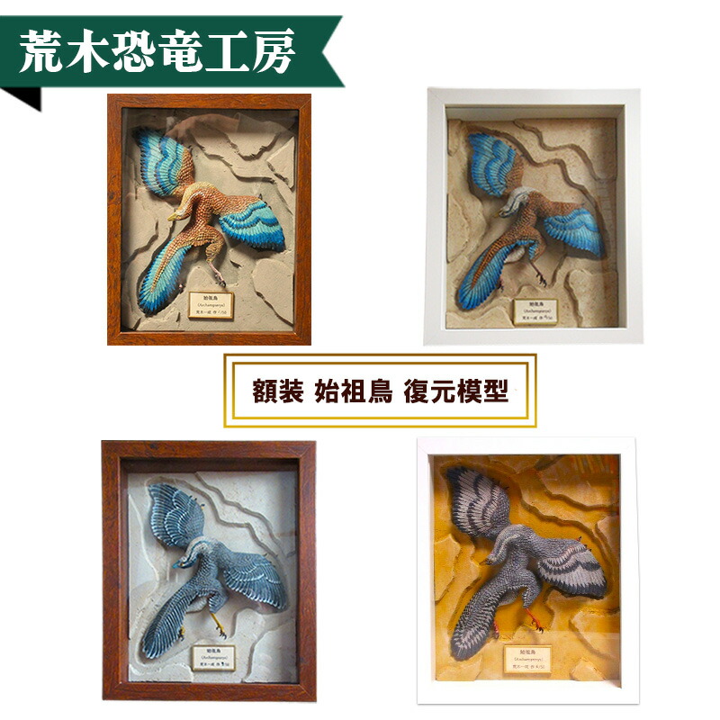【ふるさと納税】恐竜 始祖鳥 額装 復元 模型 完成品 荒木一成 本人製作 限定20体 証明書付 荒木恐竜工房 手彩色 1/2スケール 復元 模型 ダイナソー リアル インテリア 立体造形 京都府 京田辺市 職人 手作り 匠の技 一点物 ギフト プレゼント 贈り物 コレクション 標本