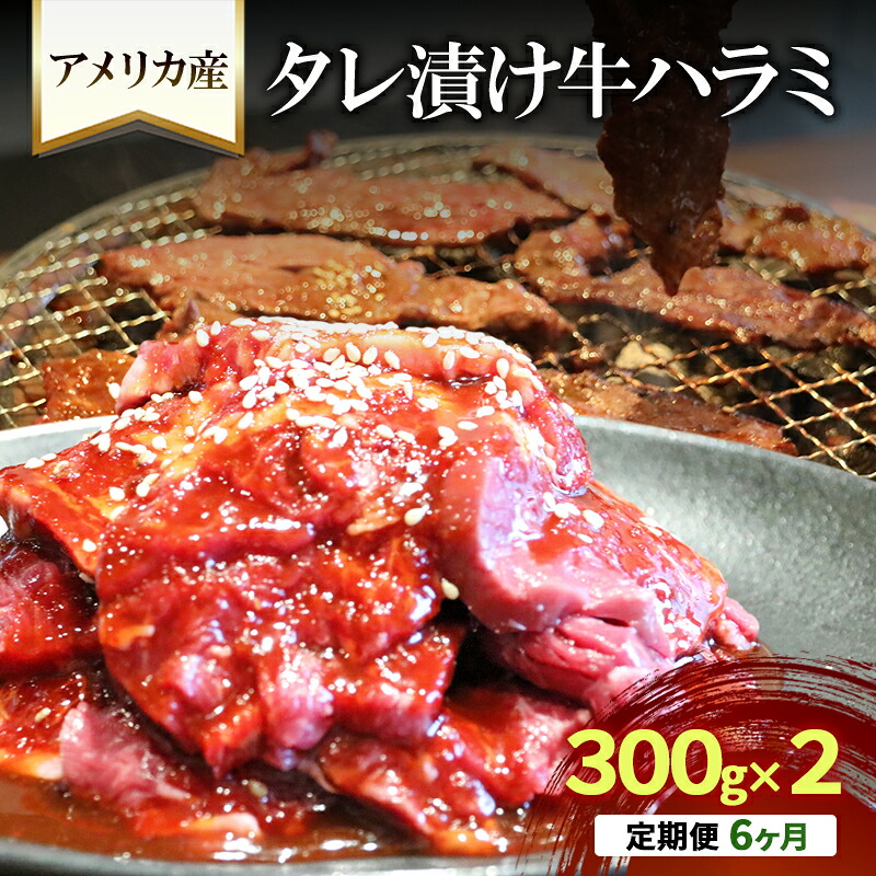 【ふるさと納税】【6か月定期便】アメリカ産タレ漬け牛ハラミ　300g×２ | 牛肉 焼肉 焼き肉 アウトドア BBQ　お届け：年末年始(12/29～1/4)の配送はいたしかねます。