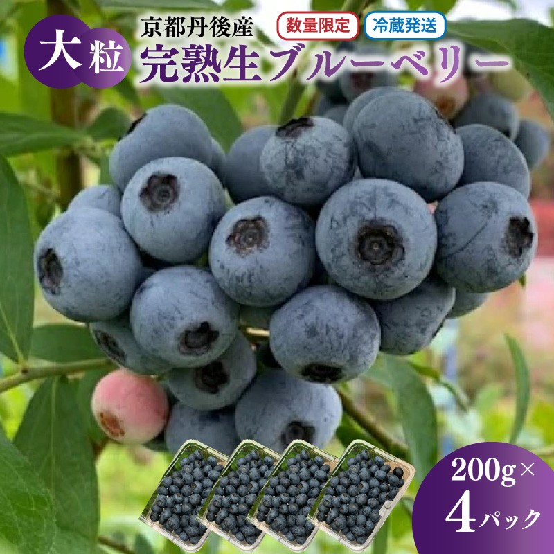 【ふるさと納税】【先行予約／数量限定80】国産 大粒完熟ブルーベリー 生果 200g×4パック（栽培期間中農薬・化学肥料・除草剤不使用）（2025年7月上旬～発送） ブルーベリー ルーツ 果物 アントシアニン  大粒 完熟 期間限定 国産 生産者応援 農家応援 送料無料
