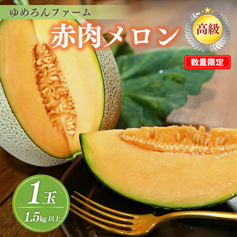 【ふるさと納税】【先行予約／数量限定100】ゆめろんファームの赤肉メロン（2025年6月上旬～発送） 国産 高級メロン 贈答 贈答品 贈り物 ふるさと 納税 メロン 赤肉 1玉 ふるさと納税 先行予約 期間限定 ふるさと 納税 フルーツ くだもの 果物