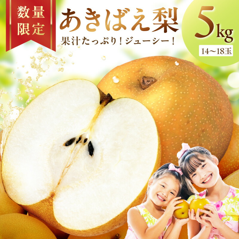 【ふるさと納税】高評価★4.67 高レビュー★ 【先行予約／数量限定200】京丹後産 あきばえ梨 5kg（14～18玉）（2025年8月中旬～発送） ふるさと 納税 梨 なし ナシ ふるさと 納税 先行予約 期間限定 ふるさと 納税 フルーツ くだもの 果物 送料無料